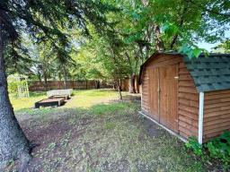 568 Queen Street W, Virden, MB R0M2C0 Photo 47