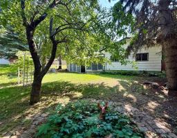 568 Queen Street W, Virden, MB R0M2C0 Photo 43
