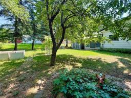 568 Queen Street W, Virden, MB R0M2C0 Photo 48