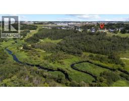 3806 50 Street, Camrose, AB T4V4B8 Photo 38