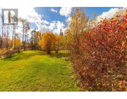 771 Highway 10, Springfield, NS B0R1H0 Photo 29