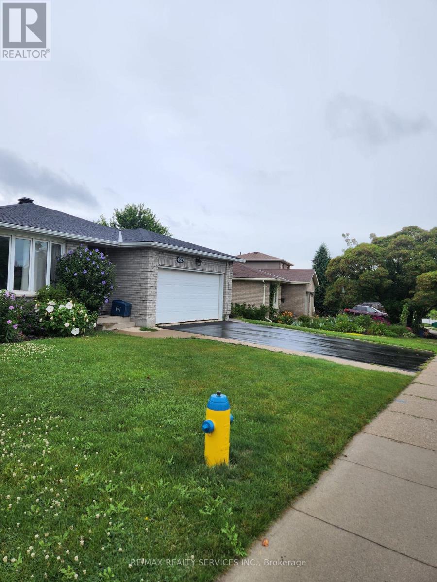 BASEMENT - 464 THORNDALE DRIVE — photo 2