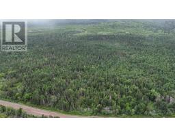 New Boston Road, Catalone River, NS B1C2G2 Photo 11