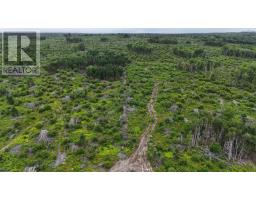 New Boston Road, Catalone River, NS B1C2G2 Photo 13