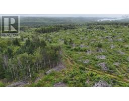 New Boston Road, Catalone River, NS B1C2G2 Photo 18