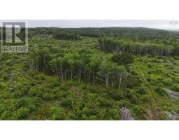New Boston Road, Catalone River, NS B1C2G2 Photo 22