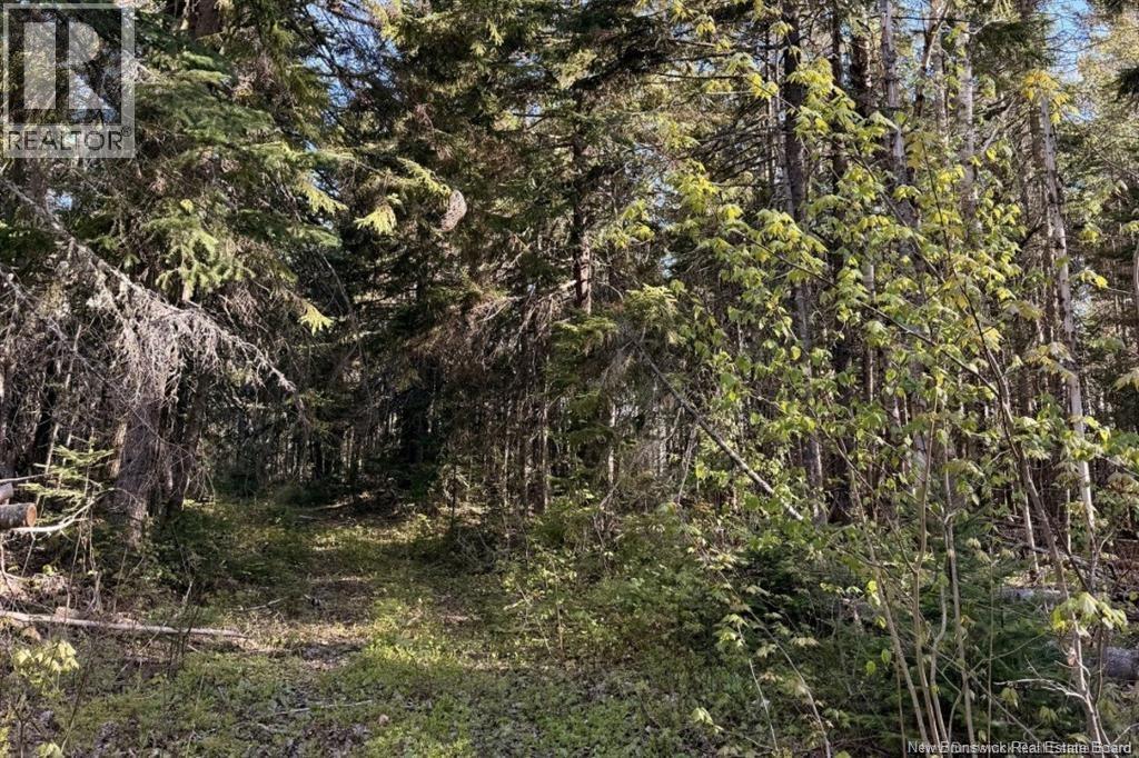 Goshen Road, Portage Vale — photo 3