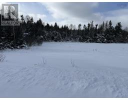 100 Acres Spencers Beach (hwy 209) Road, Spencers Island, NS B0M1S0 Photo 15