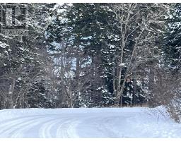100 Acres Spencers Beach (hwy 209) Road, Spencers Island, NS B0M1S0 Photo 11