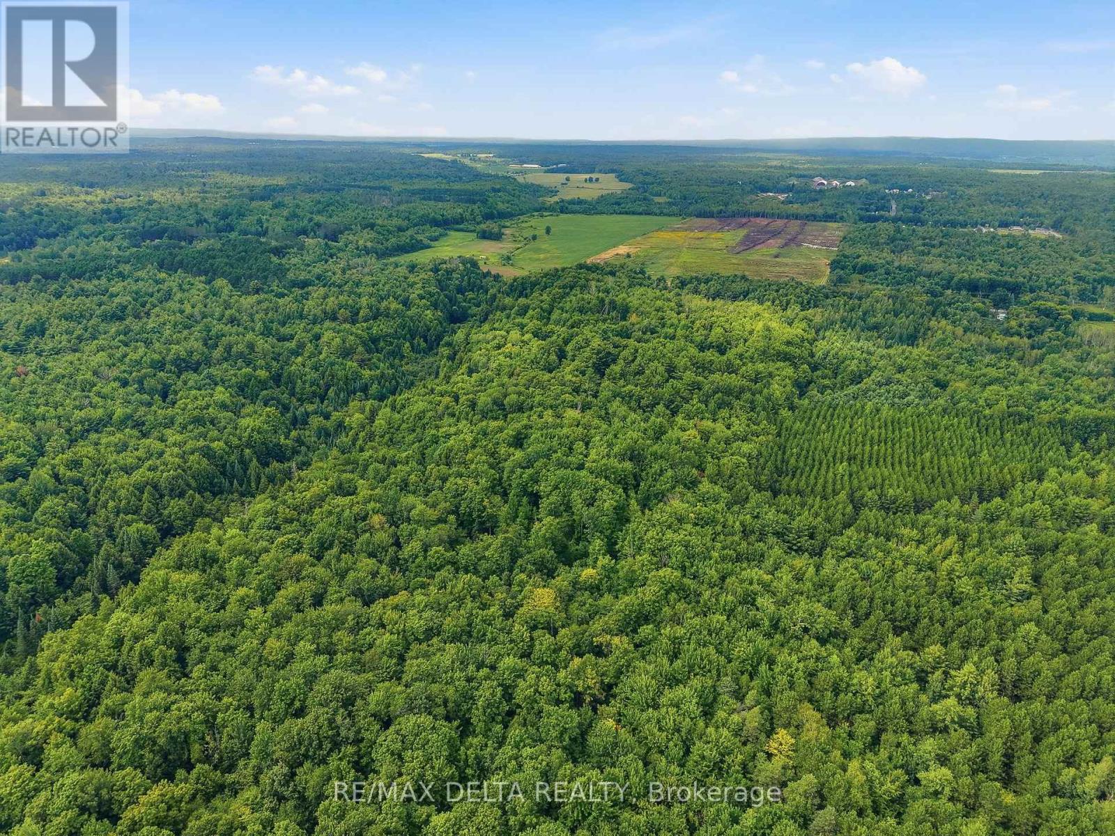 264 CONCESSION 7 ROAD - Image 31