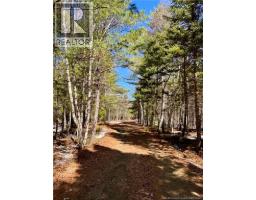 262 Straightbrook Road, Tabusintac, NB E9H2B3 Photo 29