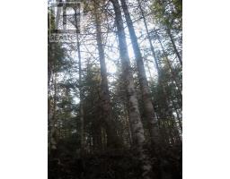 Lot 1 Hunter Road, Wentworth, NS B0M1Z0 Photo 8