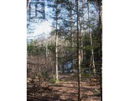 Lot 1 Hunter Road, Wentworth, NS B0M1Z0 Photo 6