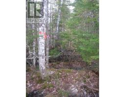 Lot 1 Hunter Road, Wentworth, NS B0M1Z0 Photo 9