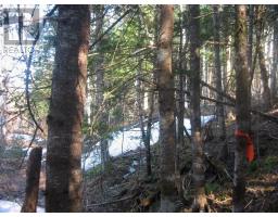 Lot 1 Hunter Road, Wentworth, NS B0M1Z0 Photo 7