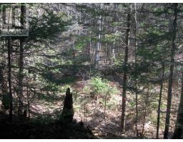 Lot 1 Hunter Road, Wentworth, NS B0M1Z0 Photo 11