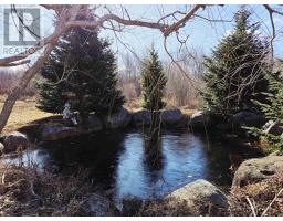 1247 Sandy Point Road, Sand Point, NS B0T1W0 Photo 50