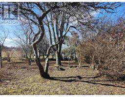 1247 Sandy Point Road, Sand Point, NS B0T1W0 Photo 46
