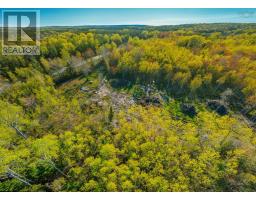 Lot 21-4 Upper Southwest Mabou Road, Dungarry, NS B0E2W0 Photo 7