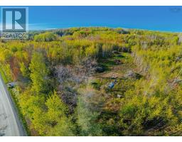 Lot 21-4 Upper Southwest Mabou Road, Dungarry, NS B0E2W0 Photo 8