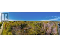 Lot 21-4 Upper Southwest Mabou Road, Dungarry, NS B0E2W0 Photo 9
