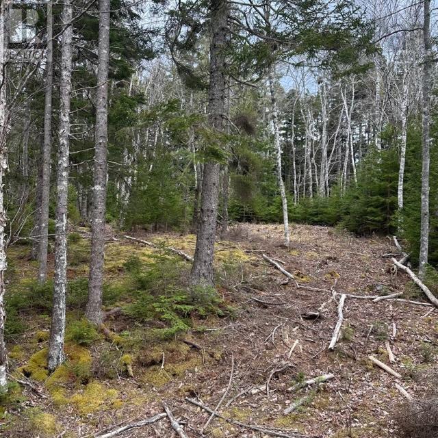 Property 10 of 16 of Lot 8 Fire Cove Road