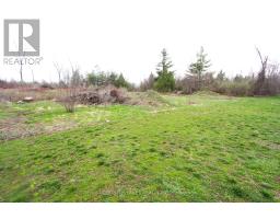 Lt 2 Redcap Beach Lane, Kawartha Lakes, ON K0M2B0 Photo 7