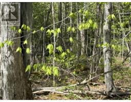 N/a Sutter Road Road W, Northern Bruce Peninsula, ON N0H1W0 Photo 11
