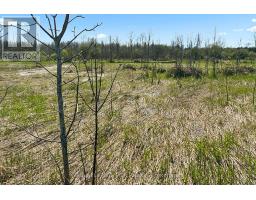 N/a Sutter Road Road W, Northern Bruce Peninsula, ON N0H1W0 Photo 19
