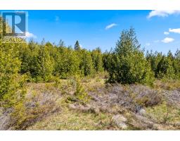 N/a Sutter Road Road W, Northern Bruce Peninsula, ON N0H1W0 Photo 25