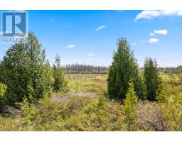 N/a Sutter Road Road W, Northern Bruce Peninsula, ON N0H1W0 Photo 20