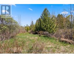 N/a Sutter Road Road W, Northern Bruce Peninsula, ON N0H1W0 Photo 29