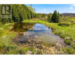 N/a Sutter Road Road W, Northern Bruce Peninsula, ON N0H1W0 Photo 22