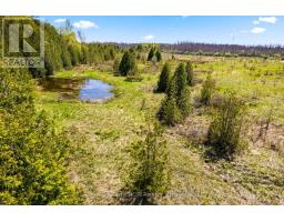 N/a Sutter Road Road W, Northern Bruce Peninsula, ON N0H1W0 Photo 23