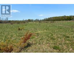 N/a Sutter Road Road W, Northern Bruce Peninsula, ON N0H1W0 Photo 18