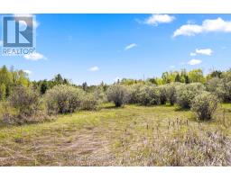 N/a Sutter Road Road W, Northern Bruce Peninsula, ON N0H1W0 Photo 26