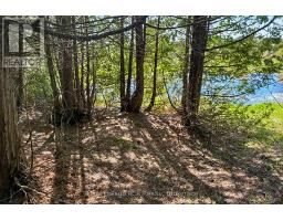 N/a Sutter Road Road W, Northern Bruce Peninsula, ON N0H1W0 Photo 24