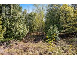 N/a Sutter Road Road W, Northern Bruce Peninsula, ON N0H1W0 Photo 30