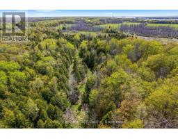 N/a Sutter Road Road W, Northern Bruce Peninsula, ON N0H1W0 Photo 31