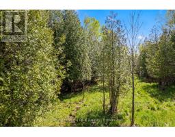 N/a Sutter Road Road W, Northern Bruce Peninsula, ON N0H1W0 Photo 32