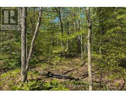 N/a Sutter Road Road W, Northern Bruce Peninsula, ON N0H1W0 Photo 37