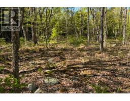 N/a Sutter Road Road W, Northern Bruce Peninsula, ON N0H1W0 Photo 39