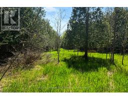N/a Sutter Road Road W, Northern Bruce Peninsula, ON N0H1W0 Photo 33