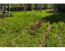 N/a Sutter Road Road W, Northern Bruce Peninsula, ON N0H1W0 Photo 35