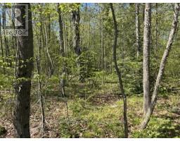 N/a Sutter Road Road W, Northern Bruce Peninsula, ON N0H1W0 Photo 44