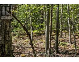 N/a Sutter Road Road W, Northern Bruce Peninsula, ON N0H1W0 Photo 42