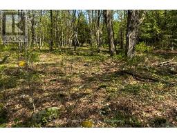 N/a Sutter Road Road W, Northern Bruce Peninsula, ON N0H1W0 Photo 9