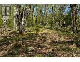 N/a Sutter Road Road W, Northern Bruce Peninsula, ON N0H1W0 Photo 7