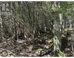 N/a Sutter Road Road W, Northern Bruce Peninsula, ON N0H1W0 Photo 45