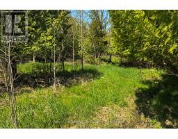 N/a Sutter Road Road W, Northern Bruce Peninsula, ON N0H1W0 Photo 34